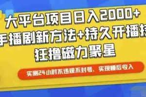 （10694期）快手24小时无人直播，真正实现睡后收益