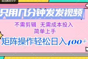 （12159期）只用几分钟发发视频，不需剪辑，无需成本投入，简单上手，矩阵操作轻松…