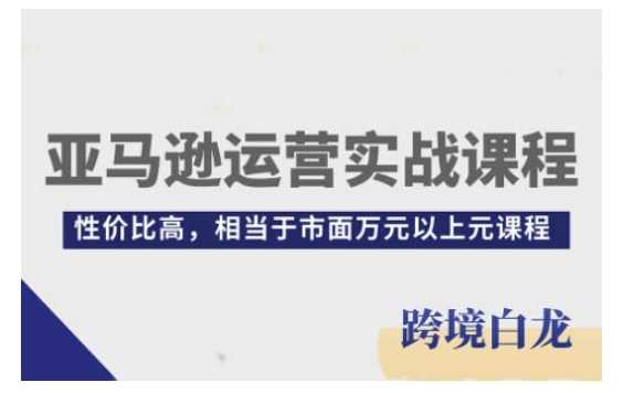 亚马逊运营实战课程,亚马逊从入门到精通,性价比高,相当于市面万元以上元课程