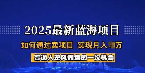2025蓝海项目,普通人如何通过卖项目,实现月入过W,全过程【揭秘】