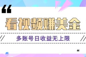 看视频赚美金项目，手机可挂机操作，多账号日收益无上限