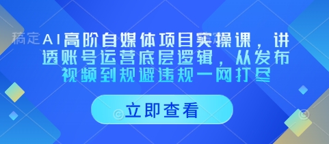 AI高阶自媒体项目实操课,讲透账号运营底层逻辑,从发布视频到规避违规一网打尽