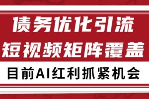 小红书某音债务优化赛道引流获客 自热矩阵日引200+