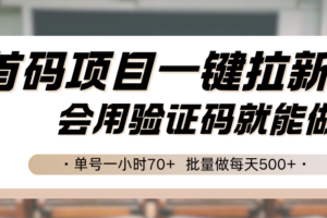 首码项目一键拉新，会用验证码就能做 单号一小时70+，批量做每天500+