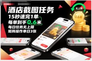 酒店截图任务，15秒速完1单，每单到手0.6米，每日任务无上限，全网首发玩法，矩阵操作单日3张【揭秘】