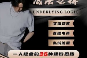 一个人起盘的底层逻辑，私域流量-直播电商-实体获客，一人起盘的36种賺钱思路