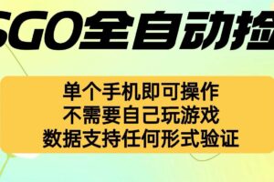 （16207期）自动挂机捡漏，不用自己挂机不用玩游戏，一个手机即可操作。新手小白轻…