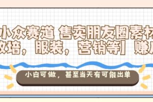 小众赛道售卖朋友圈素材【教培，服装，营销等】賺麻了，小白可做，甚至当天有可能出单