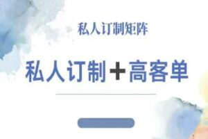 小红书自媒体咨询师IP教程，私人定制+高客单