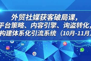 （16786期）外贸 社媒获客破局课，平台策略、内容引擎、询盘转化，构建体系化引流系统（10月-11月）